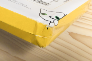 こねこ便420角破損