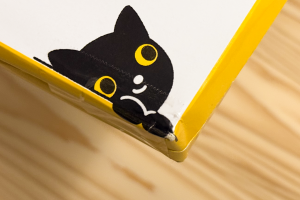 こねこ便420角破損